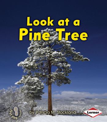 Look at a pine tree