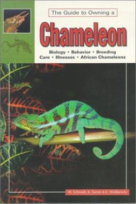 The guide to owning a chameleon