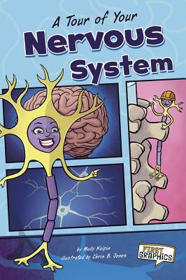 A tour of your nervous system