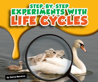 Step-by-step experiments with life cycles