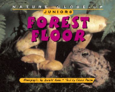 Forest floor