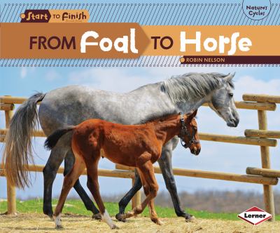 From foal to horse