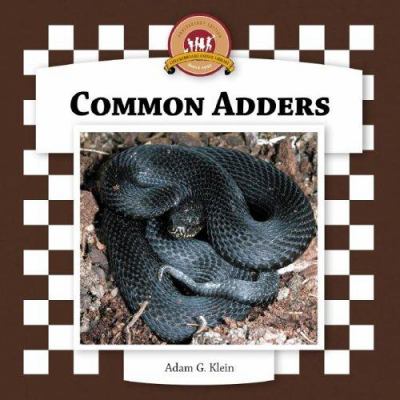 Common adders