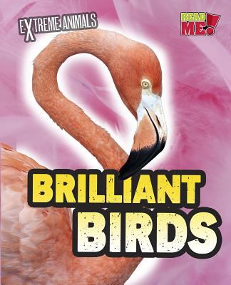 Brilliant birds