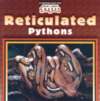 Reticulated pythons