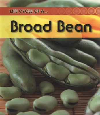 Life cycle of a-- broad bean