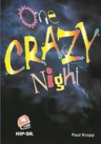 One crazy night : a novel