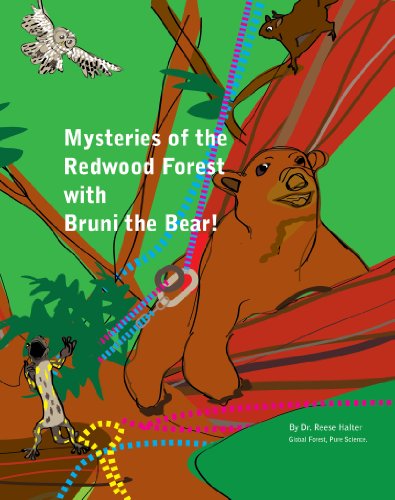 The mysteries of the redwood forests, with Bruni the Bear