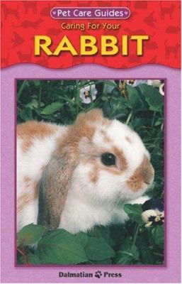 Caring for your rabbit