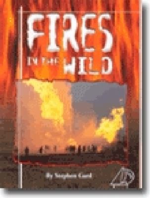 Fires in the wild