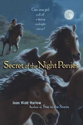 Secret of the night ponies