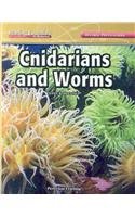 Cnidarians and worms