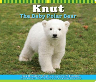 Knut, the baby polar bear