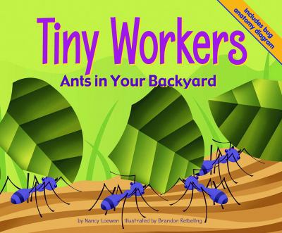 Tiny workers : ants in your backyard