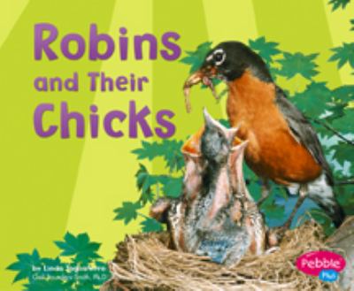 Robins and their chicks
