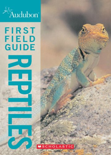 Audubon first field guide : reptiles