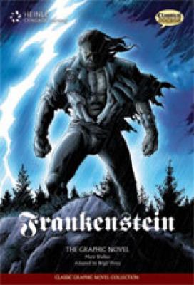 Frankenstein : the graphic novel