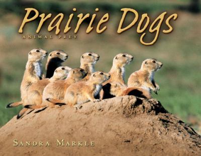 Prairie dogs