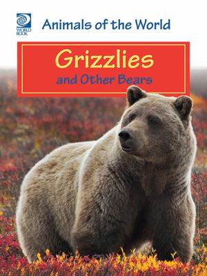 Grizzlies and other bears