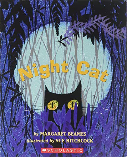 Night cat