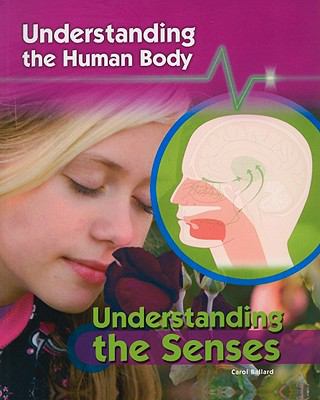 Understanding the senses