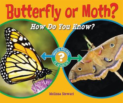 Butterfly or moth? : how do you know?