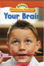 Your brain