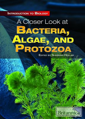 A closer look at bacteria, algae, and protozoa