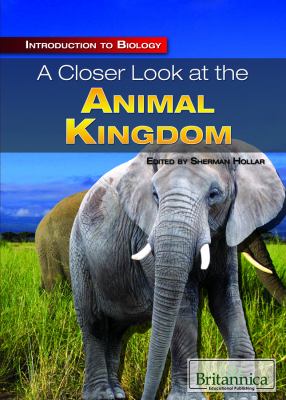 A closer look at the animal kingdom