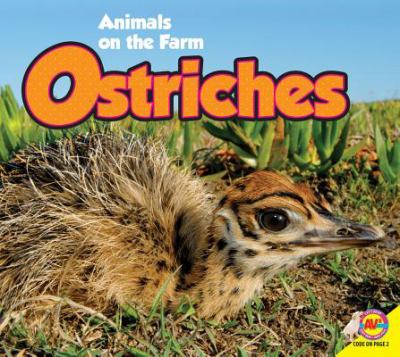 Ostriches