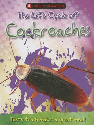 The life cycle of cockroaches