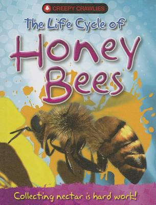 The life cycle of honey bees