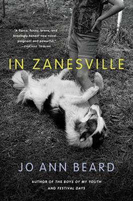 In Zanesville : a novel