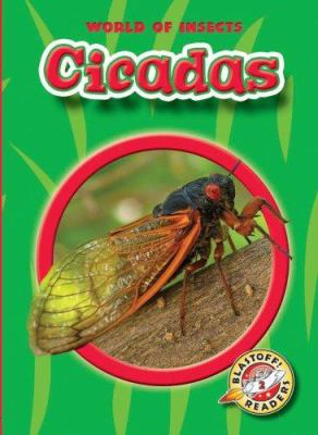 Cicadas