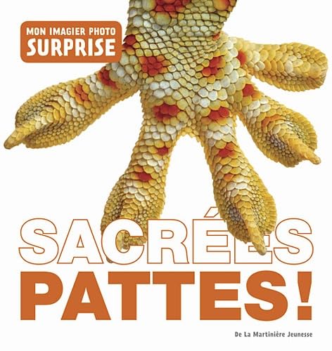 Sacrées pattes!