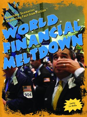 World financial meltdown