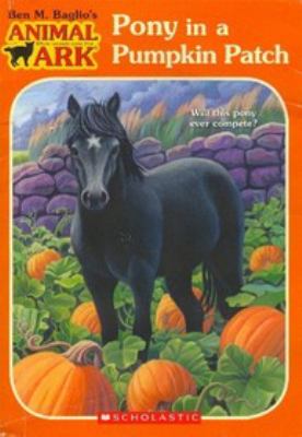 Pony in a pumpkin patch