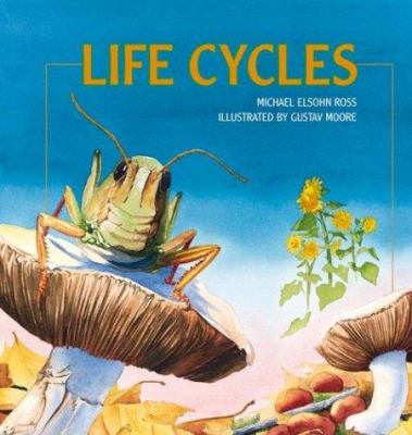 Life cycles