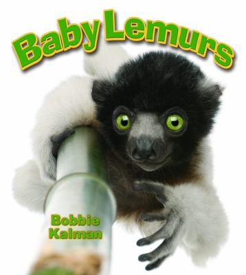 Baby lemurs