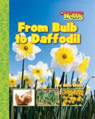 From bulb to daffodil