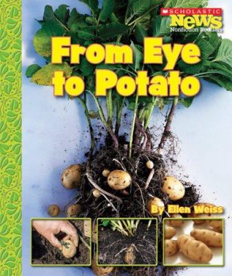 From eye to potato