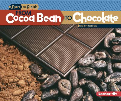 From cocoa bean to chocolate