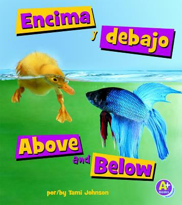 Encima y debajo = Above and below