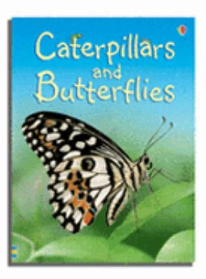 Caterpillars and butterflies