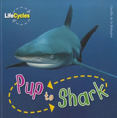 Pup to shark