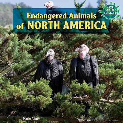 Endangered animals of North America