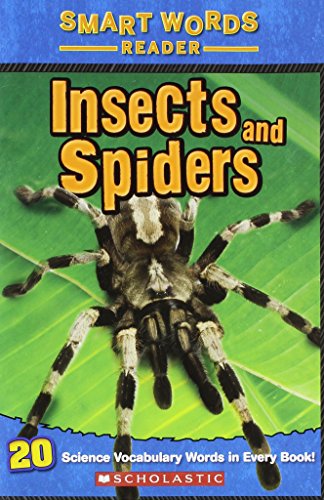 Insects and Spiders