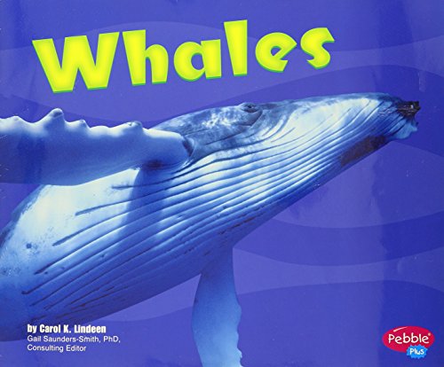 Whales