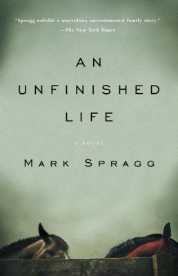 An unfinished life : a novel