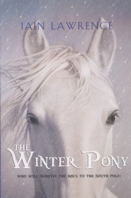 The winter pony